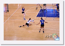 Set 1 * (288 Slides)